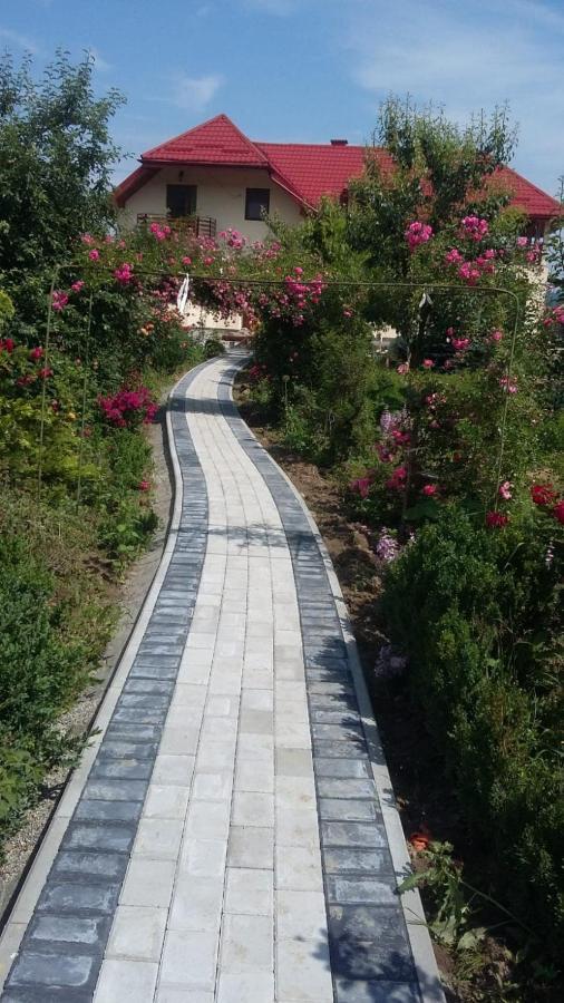 Agropensiunea Florina-Maria Branistea  Ngoại thất bức ảnh