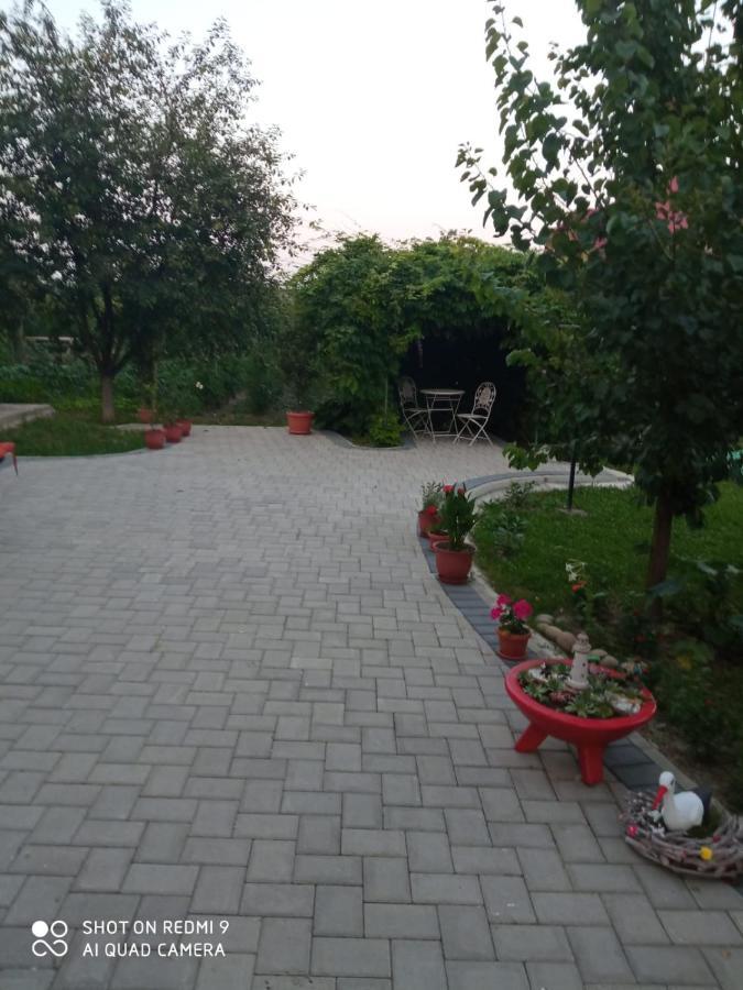 Agropensiunea Florina-Maria Branistea  Ngoại thất bức ảnh