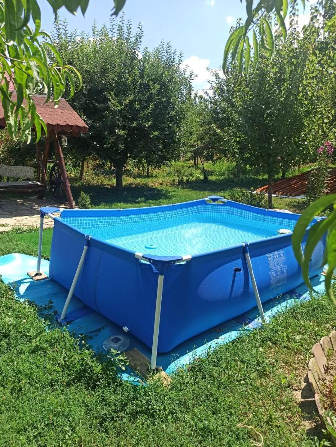 Agropensiunea Florina-Maria Branistea  Ngoại thất bức ảnh