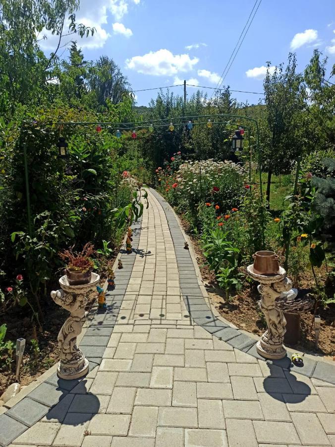 Agropensiunea Florina-Maria Branistea  Ngoại thất bức ảnh